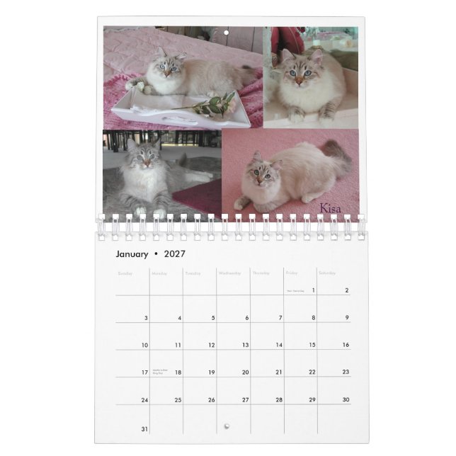 2008 Siberian katter Calendar2 sm Kalender (Jan 2027)