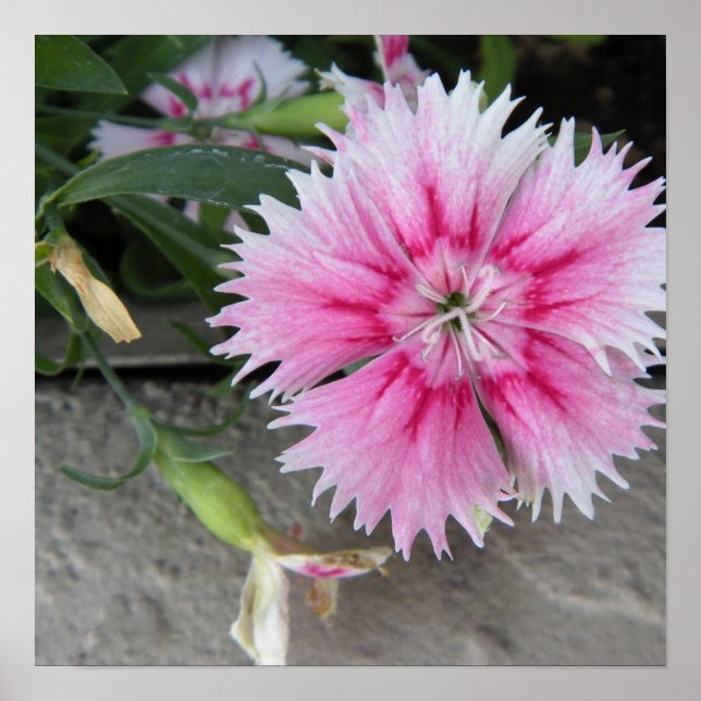 2009-1008 utskrift/poster poster (Framsidan)