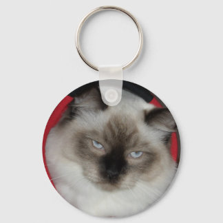 2009_12090051 NYCKELRING