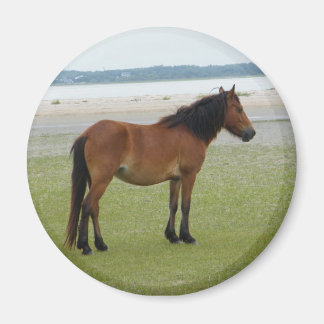 2009-7-20 Shackleford Banker 00028 Magnet