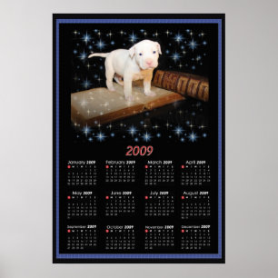 2009 års Poster i tidningen Luna