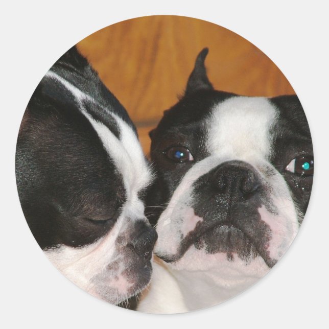 2009-Cover Runt Klistermärke (Framsida)