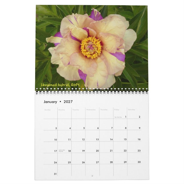 2009 Intersectional Peony Calendar - Customized Kalender (Jan 2027)