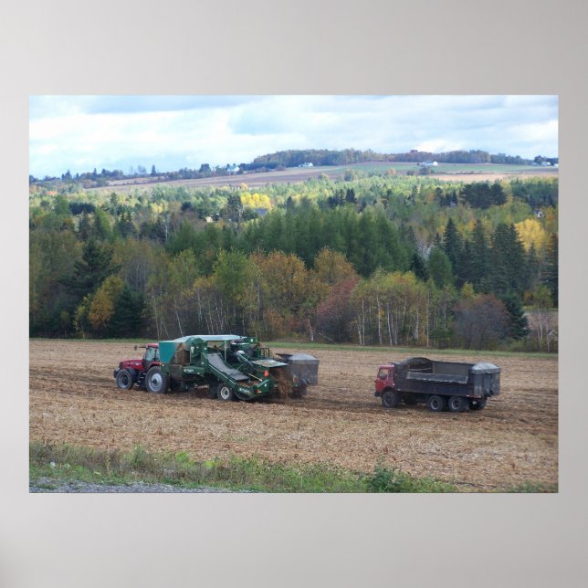 2009_Maine_Autumn_169 Poster (Framsidan)