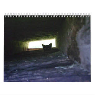 2009 som älskar Vild Soul Inc. den vilda Kalender