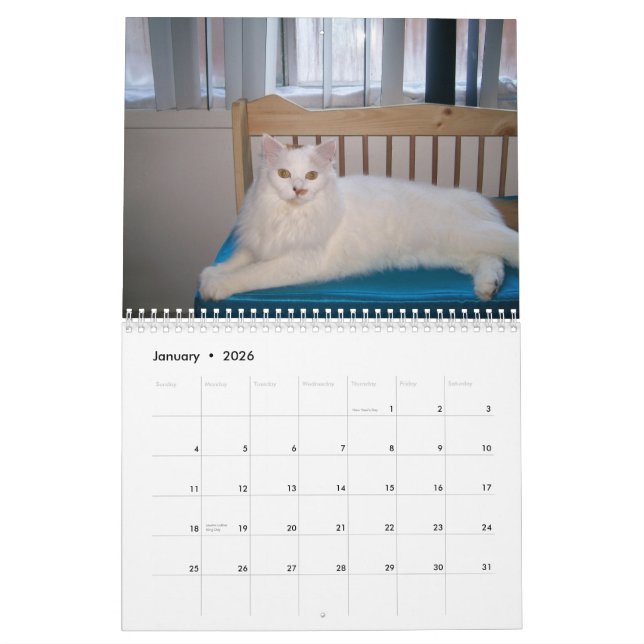 2009 som älskar Vild Soul Inc. den vilda Kalender (Jan 2026)