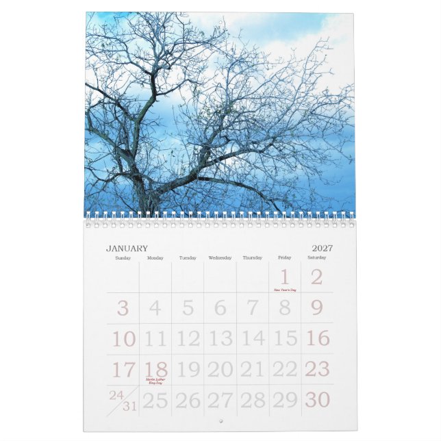 2009 vid det lite gråa PIXELet Kalender (Jan 2027)
