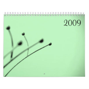 2009 vid det lite gråa PIXELet Kalender