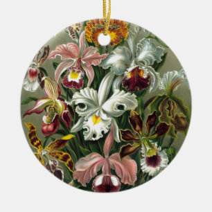 20101126181226! Haeckel_Orchidae.jpg Julgransprydnad Keramik