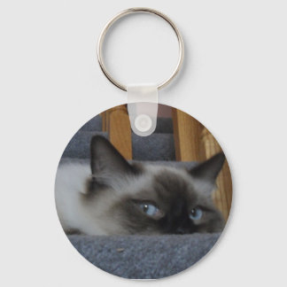 2010_03020009 NYCKELRING