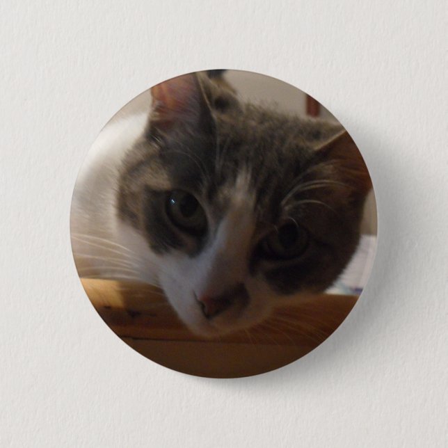 2010_04020026 KNAPP (Framsida)