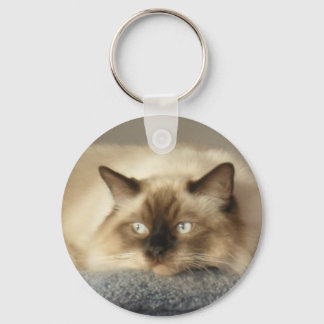 2010_0424003 NYCKELRING