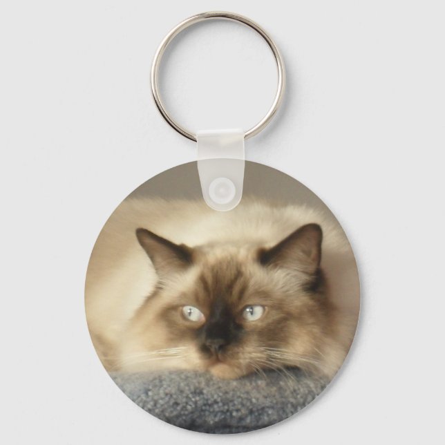 2010_0424003 NYCKELRING (Framsida)