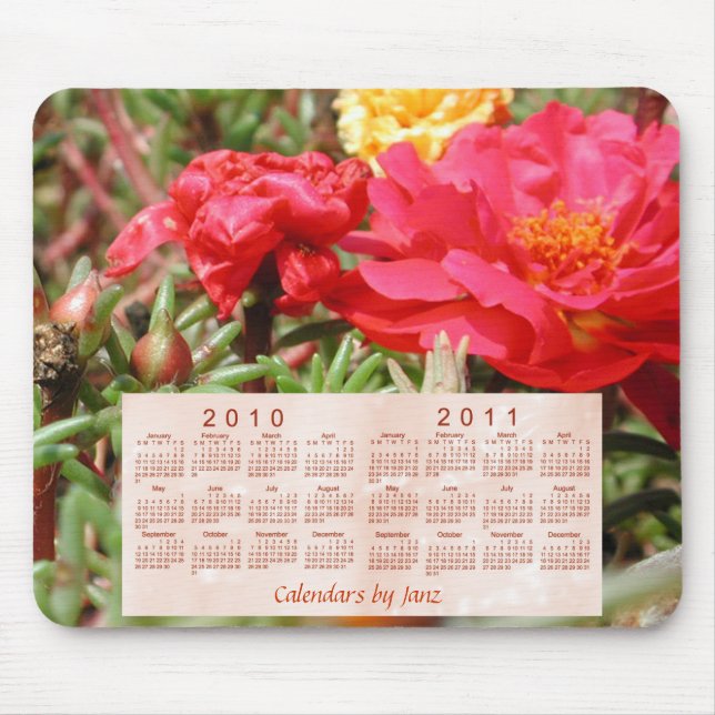 2010-2011 blom- kalender musmatta (Framsidan)