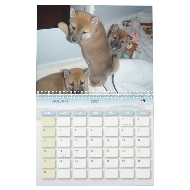 2010 året av Shibaen Kalender (Jan 2027)
