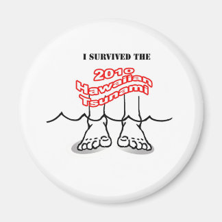 2010 års hawaiiska tsunami magnet