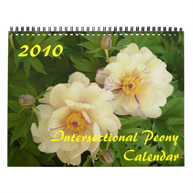 2010 års internationella peonkalender kalender (Omslag)