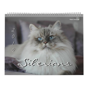 2010 års kalender för siberiska katter och kitte