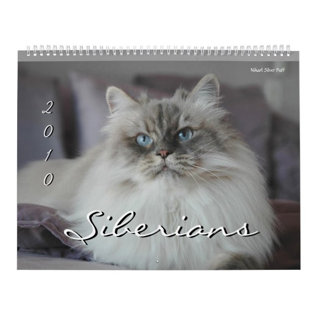 2010 års kalender för siberiska katter och kittens (Omslag)