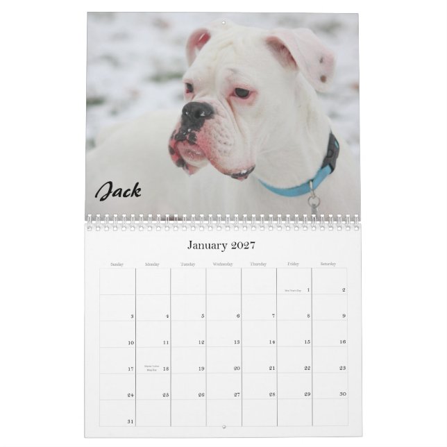 2010 BC kalender - vanlig stil (Jan 2027)
