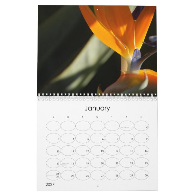 2010 blom- kalender (Jan 2027)