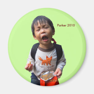 2010 chiper magnet