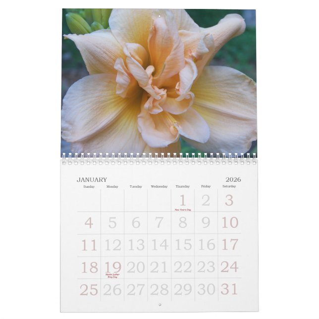 2010 Daylilies Kalender (Jan 2026)