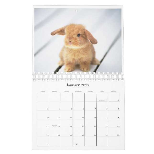 2010 djura kalender (Jan 2027)