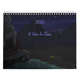 2010: Ett år i Camis Kalender