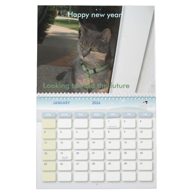 2010: Ett år med katter Kalender (Jan 2026)