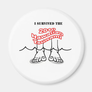 2010 hawaianska Tsunami Magnet