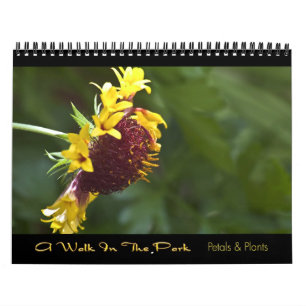2010 kalender - en gå i parkera