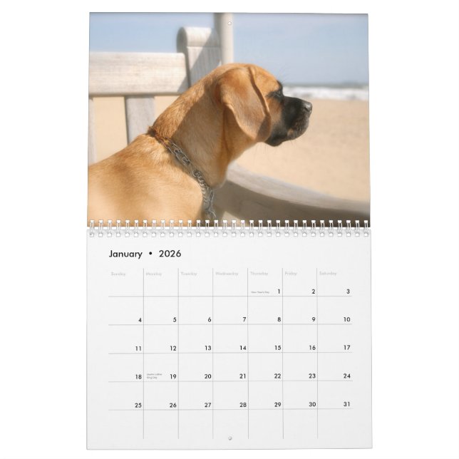 2010 kalender, Puggles Kalender (Jan 2026)