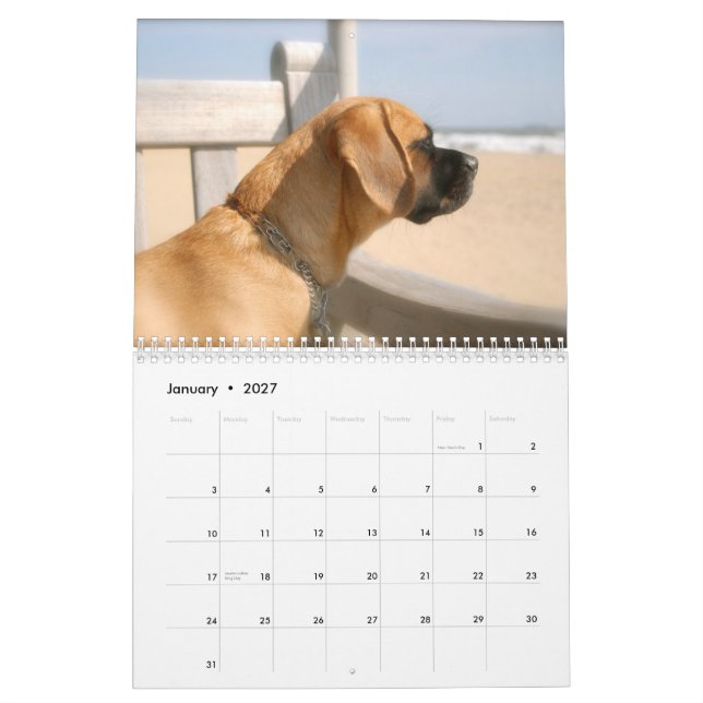2010 kalender, Puggles Kalender (Jan 2027)