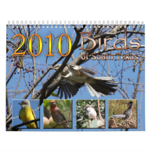 2010 kalenderfåglar av södra Texas Kalender
