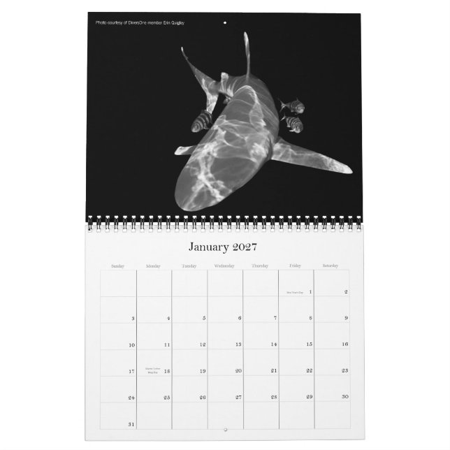 2010 Kalenderns bästa av DiversOne Underwater Phot Kalender (Jan 2027)