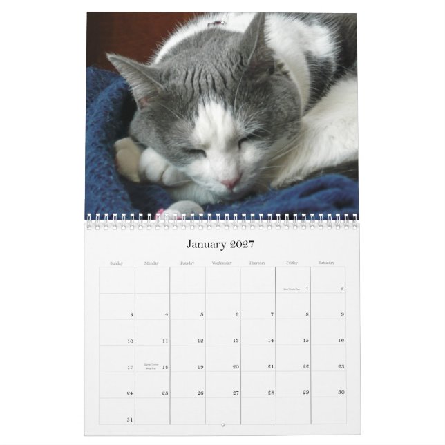 2010 med Gurubuken Kalender (Jan 2027)