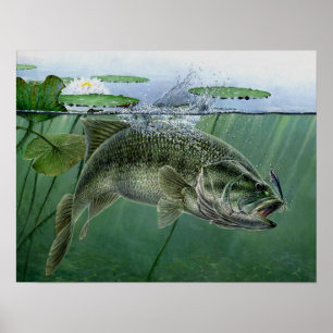 2010 National Best of Show by A. Hunter Poster