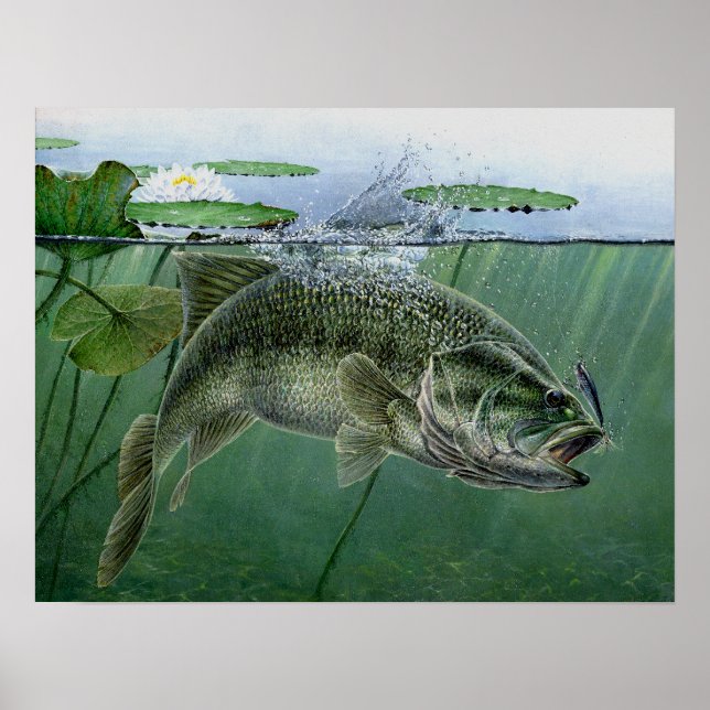 2010 National Best of Show by A. Hunter Poster (Framsidan)