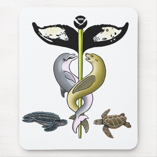 2010 NMAHC Mousepad Musmatta (Framsidan)