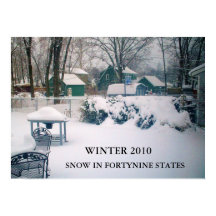 2010 poster SNÖ I FORTYNINE STATER