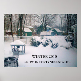 2010 poster SNÖ I FORTYNINE STATER