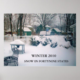 2010 poster SNÖ I FORTYNINE STATER