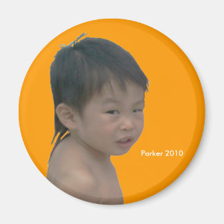 2010-segmentet magnet