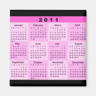 2011 år på en ögonkastkalender magnet