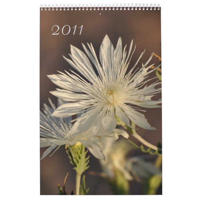 2011 års Blommigt-kalender Kalender (Omslag)