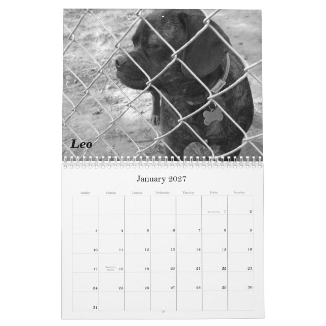 2011 års sällskapskalender: Katter och Hundar Kalender (Jan 2027)