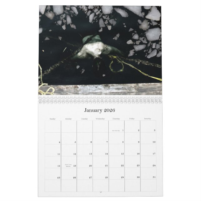 2011 avbildar 12 månader av att störa vid Y… Kalender (Jan 2026)