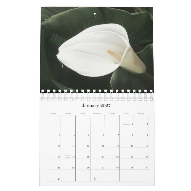 2011 blom- kalender (Jan 2027)