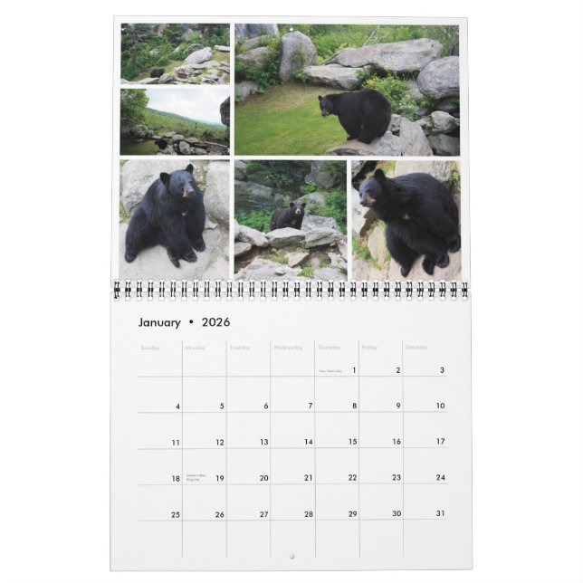 2011 Carolina Wildlife Calendar Kalender (Jan 2026)
